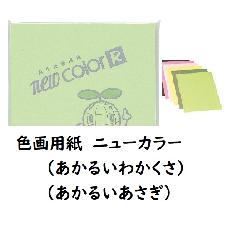 色画用紙　ニューカラー
