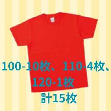 カラーTシャツ　イタリアンレッド　アソートAセット15枚　特価品