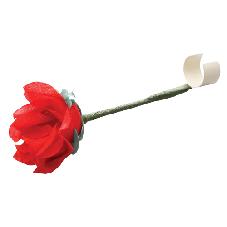指先から薔薇